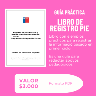 Libro de Registro PIE ejemplificado (primer ciclo)