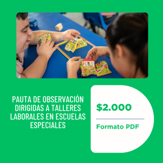 Pauta de observación talleres laborales en escuelas especiales
