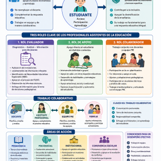 Material gratis La co-enseñanza, una estrategia para el mejoramiento  educativo y la inclusión