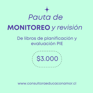 Pauta revisión libro PIE