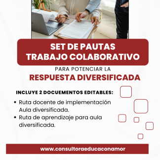 Set de Pautas trabajo colaborativo