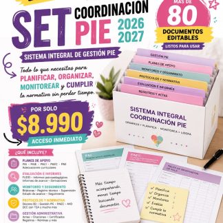 Set coordinación PIE 2026/2027