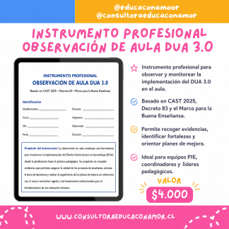 Instrumento observación de aula DUA 3.0